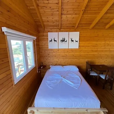 Jupis Chalet-city View Getaway Alpehytte Durrës
