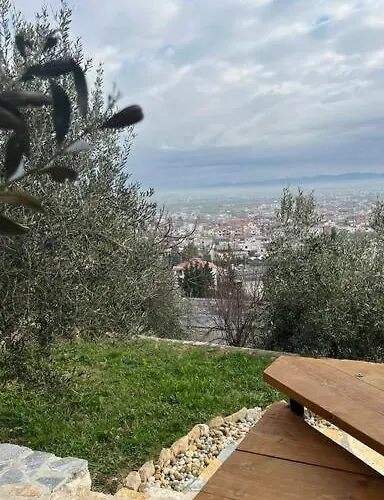 Jupis Chalet-City View Getaway *